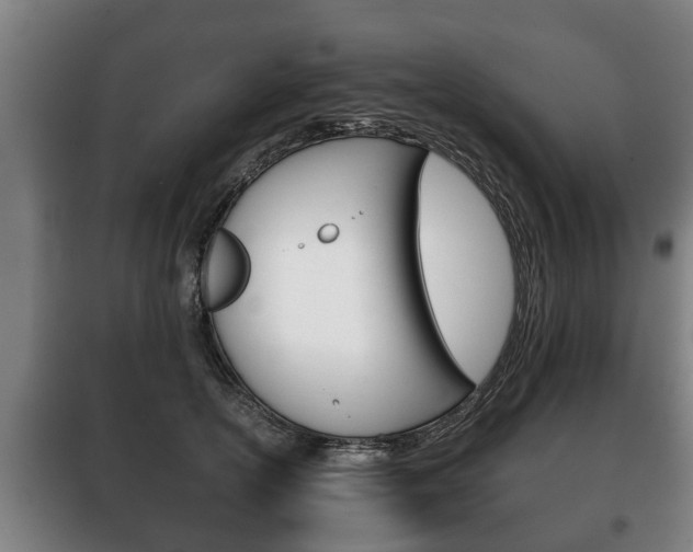 X0000100410754200806060925