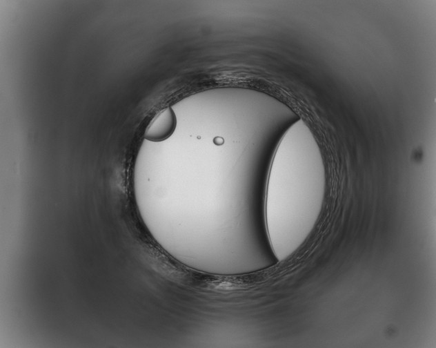 X0000100410755200806060925