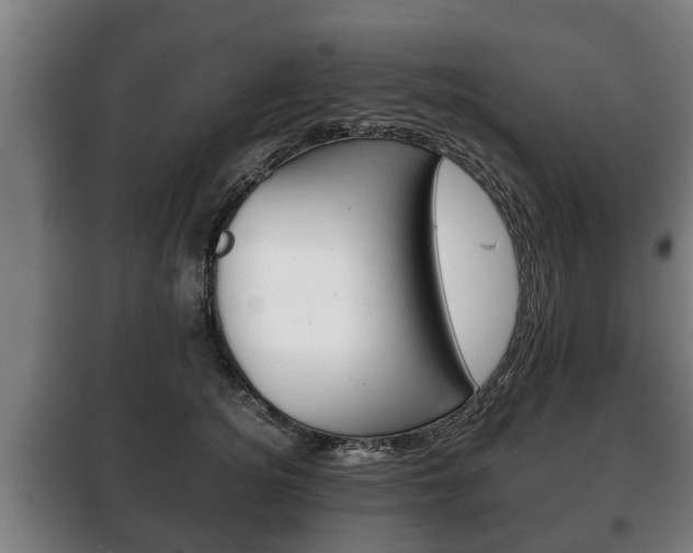 X0000100410756200806060925