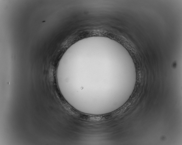 X0000100410757200806060925