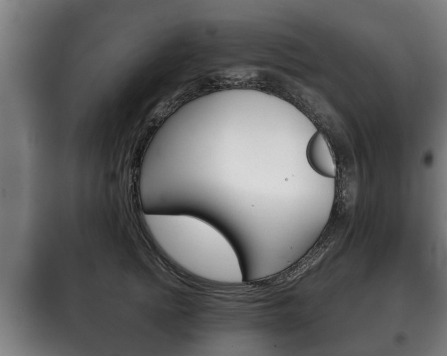 X0000100410758200806060925