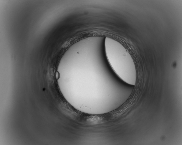 X0000100410759200806060925