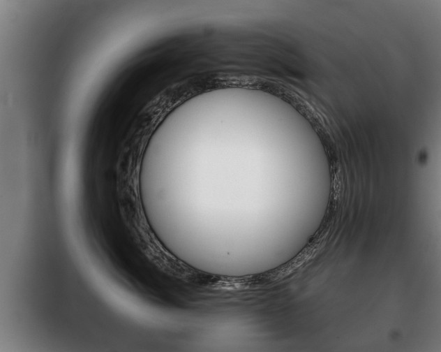 X0000100410764200806060925