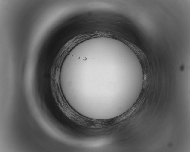 X0000100410765200806060925