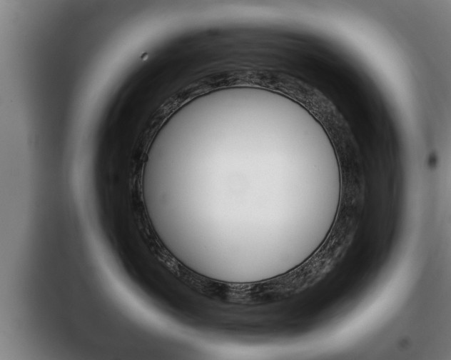 X0000100410766200806060925