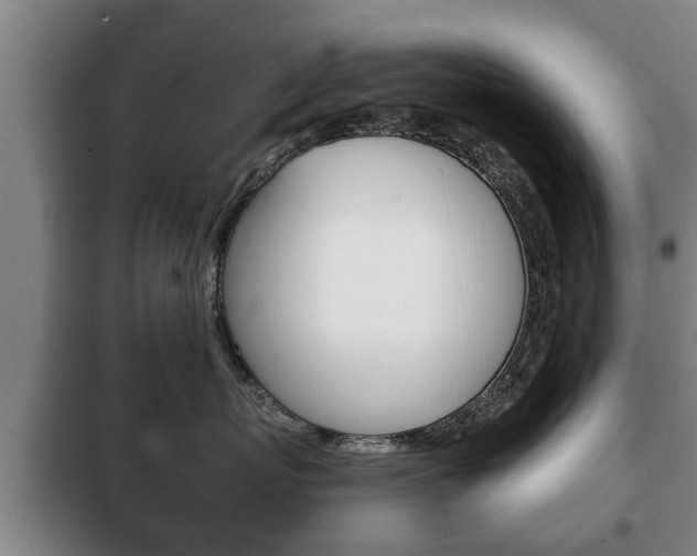X0000100410767200806060925