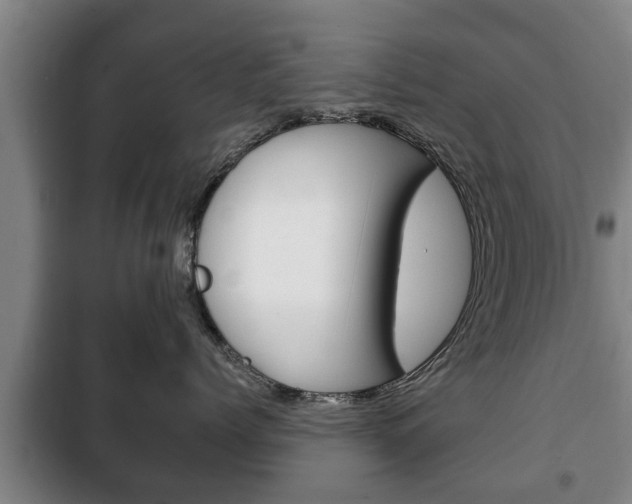 X0000100410768200806060925