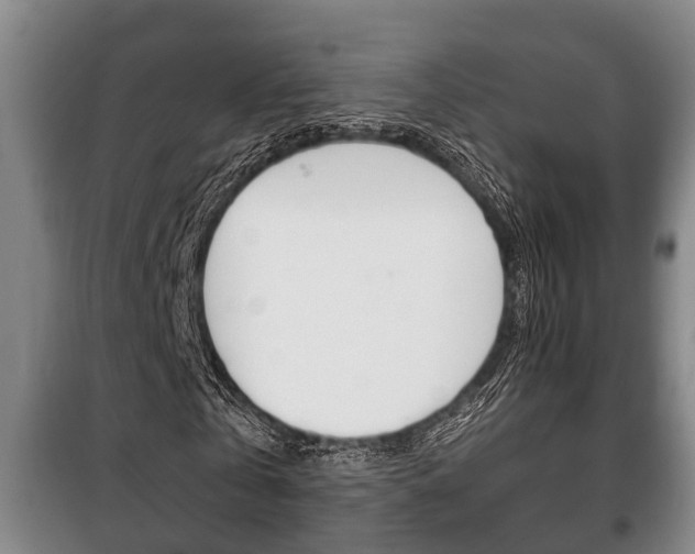 X0000100410769200806060924