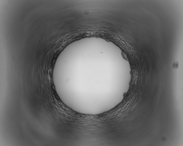X0000100410770200806060924