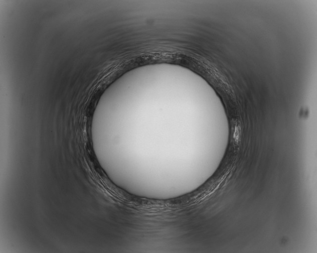 X0000100410771200806060924