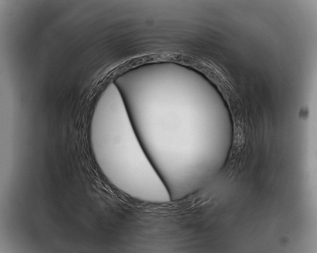 X0000100410773200806060924