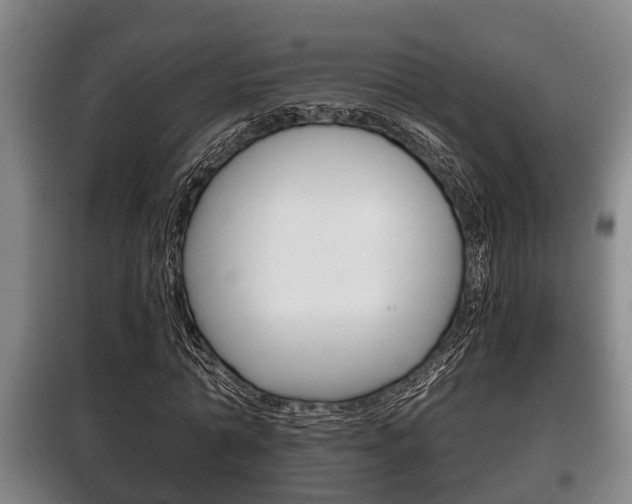 X0000100410774200806060924
