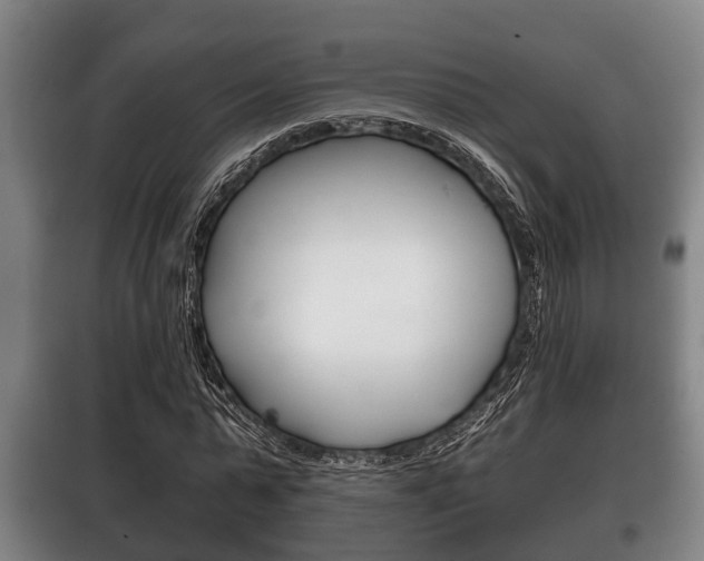 X0000100410775200806060924