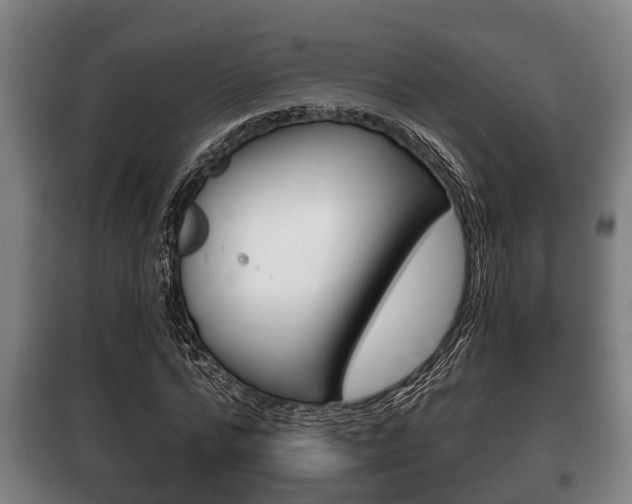 X0000100410776200806060924