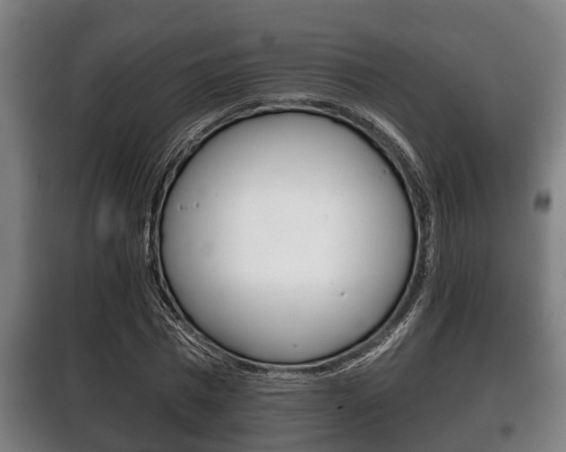 X0000100410777200806060924