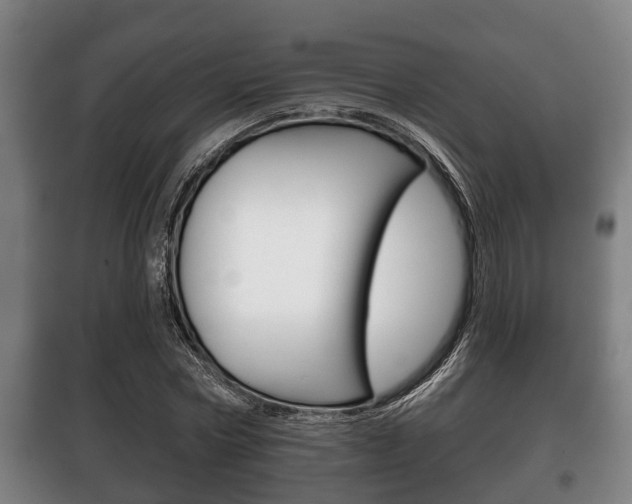 X0000100410778200806060924