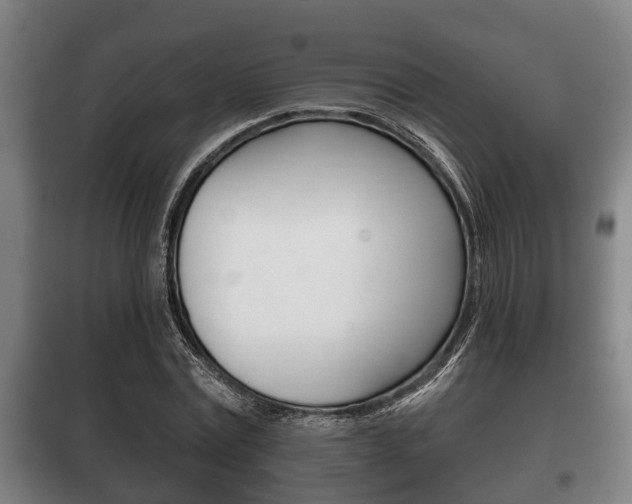 X0000100410779200806060924
