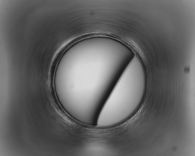 X0000100410780200806060924