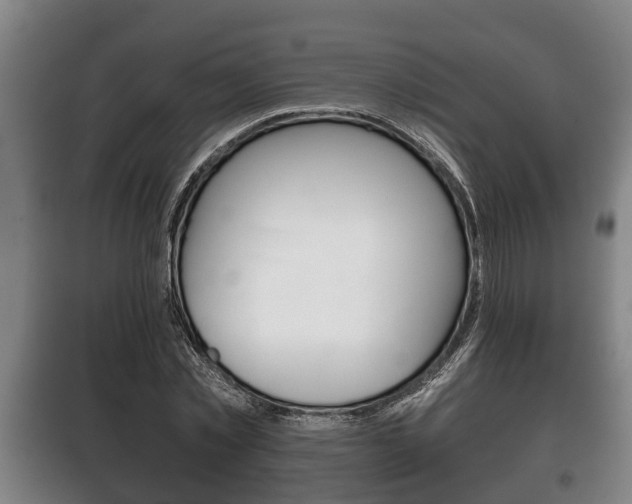 X0000100410781200806060924