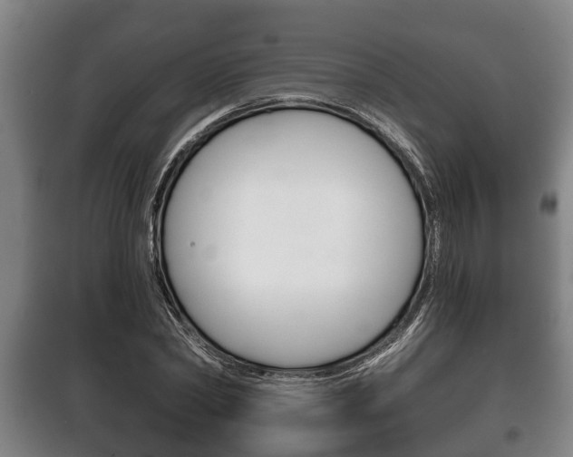 X0000100410782200806060924