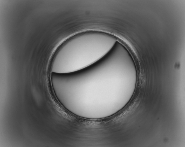 X0000100410783200806060924