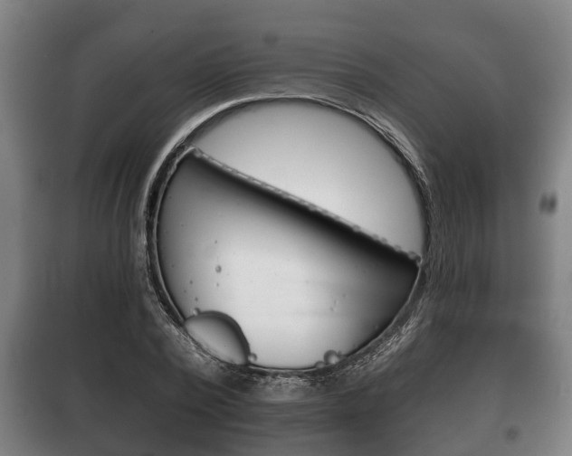 X0000100410784200806060924
