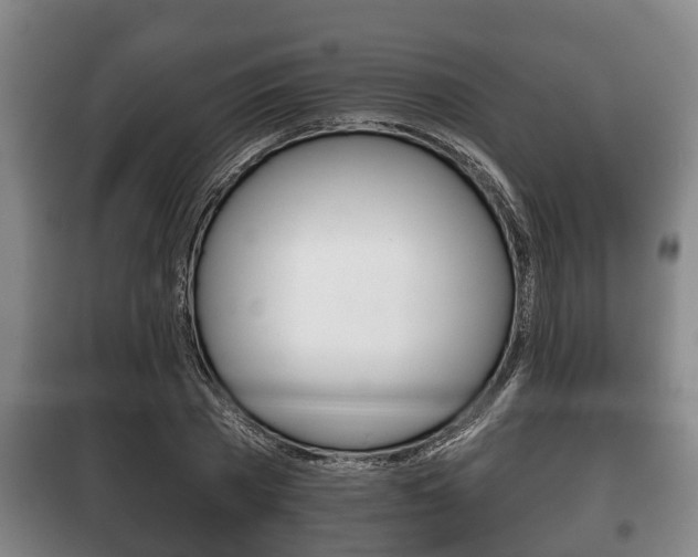 X0000100410785200806060924