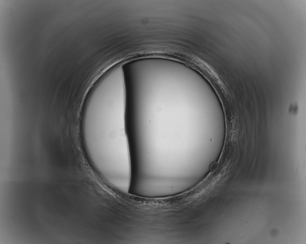X0000100410786200806060924