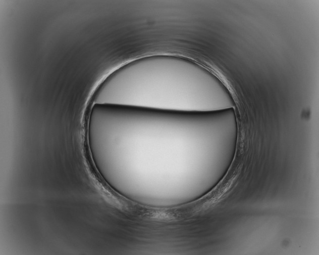 X0000100410787200806060924