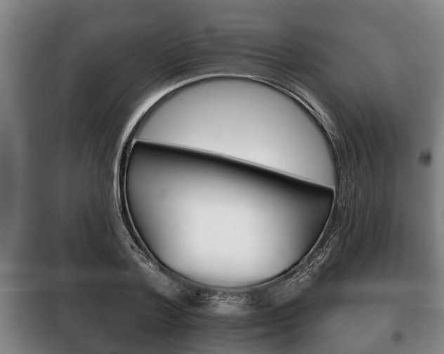 X0000100410788200806060924