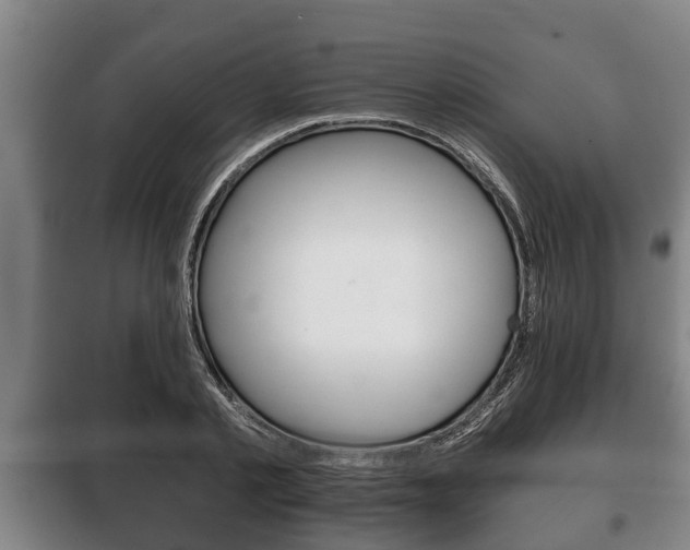 X0000100410789200806060924