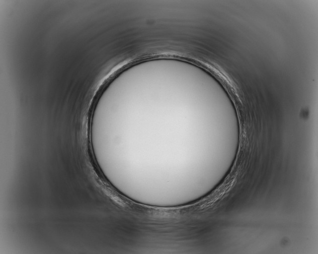 X0000100410790200806060924