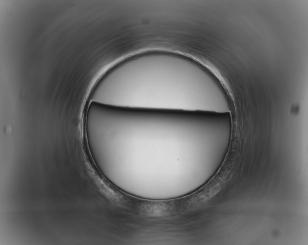 X0000100410791200806060924