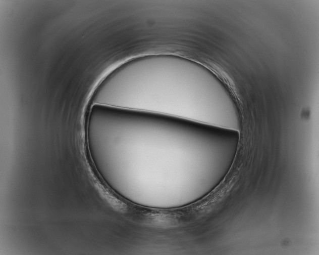 X0000100410792200806060924