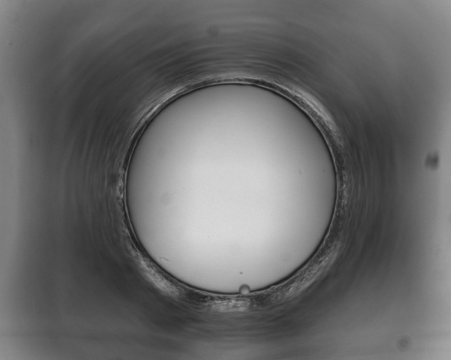 X0000100410793200806060924