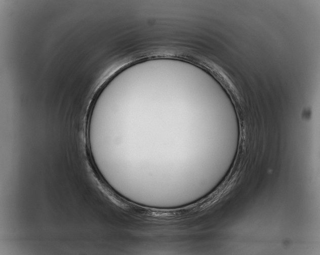 X0000100410794200806060924
