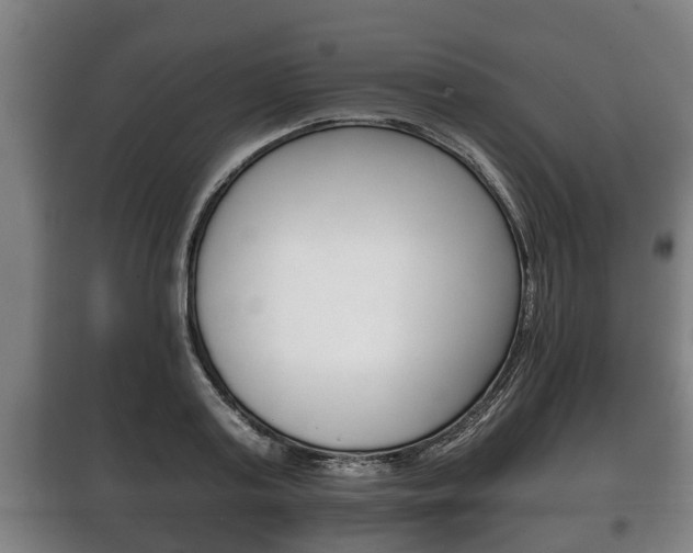 X0000100410795200806060924