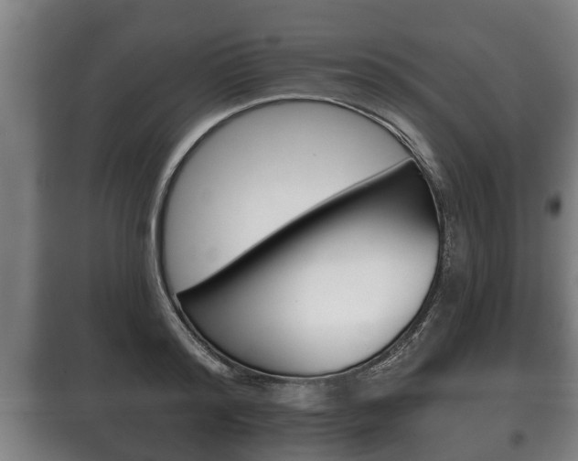 X0000100410796200806060924