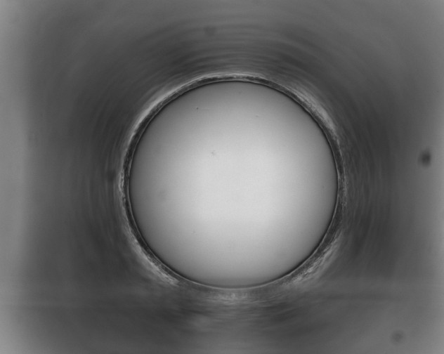 X0000100410797200806060924