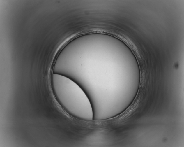 X0000100410798200806060924