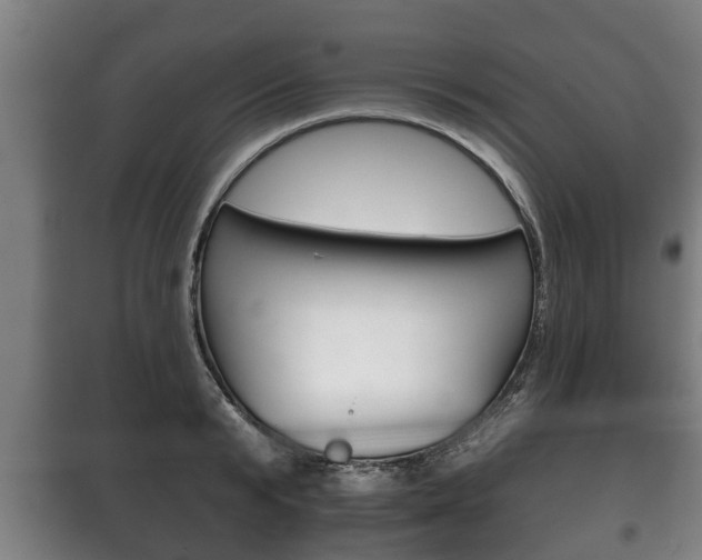 X0000100410799200806060924