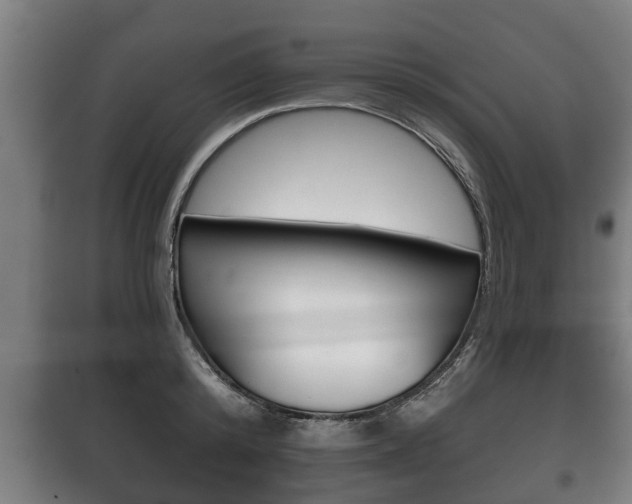 X0000100410800200806060924