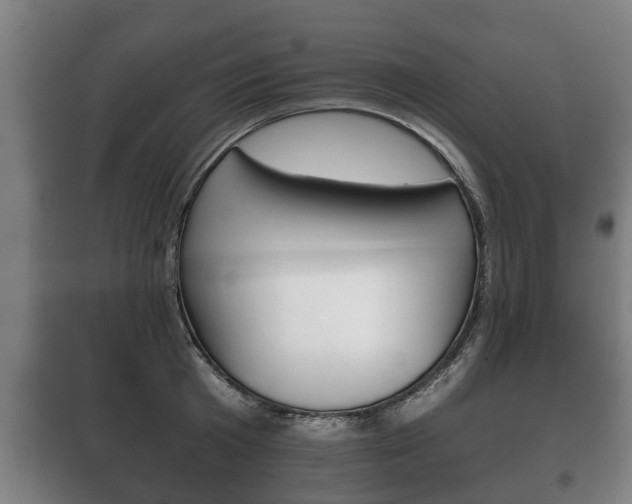 X0000100410801200806060924
