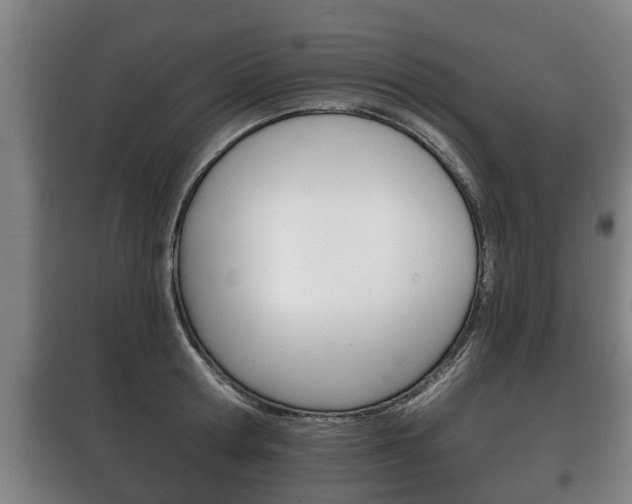 X0000100410802200806060924