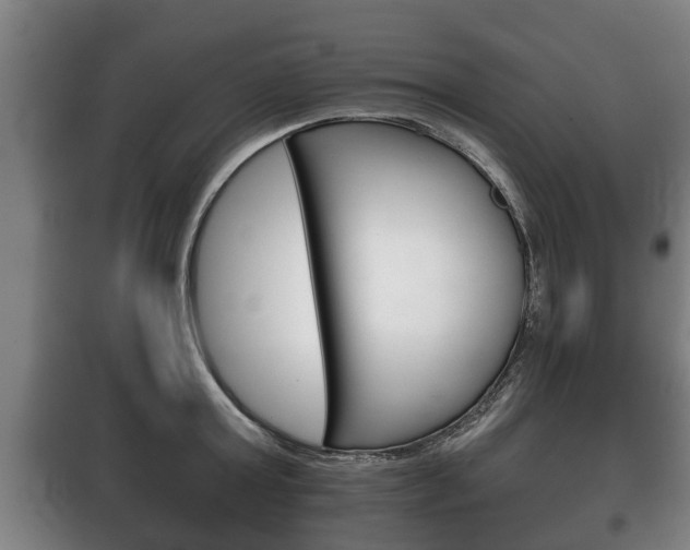 X0000100410803200806060924