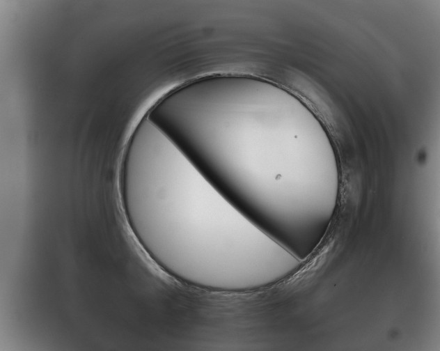 X0000100410804200806060924