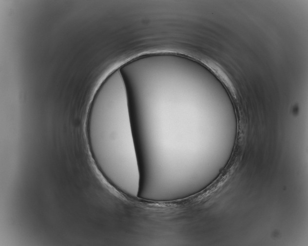 X0000100410805200806060924