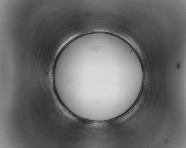 X0000100410806200806060924
