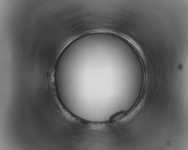 X0000100410809200806060924