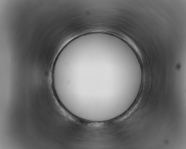 X0000100410810200806060924
